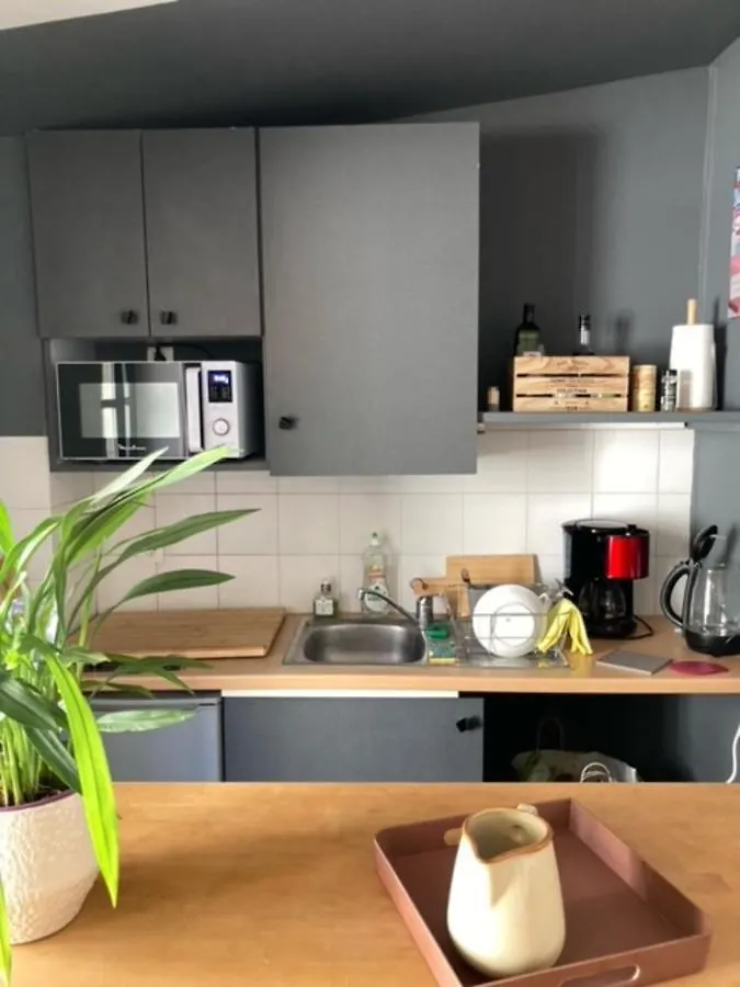 شقة Duplex 32 M With Terrace In Downtown أفينيون
