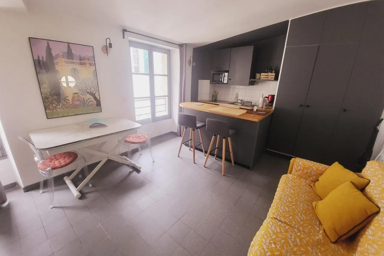 شقة Duplex 32 M With Terrace In Downtown أفينيون